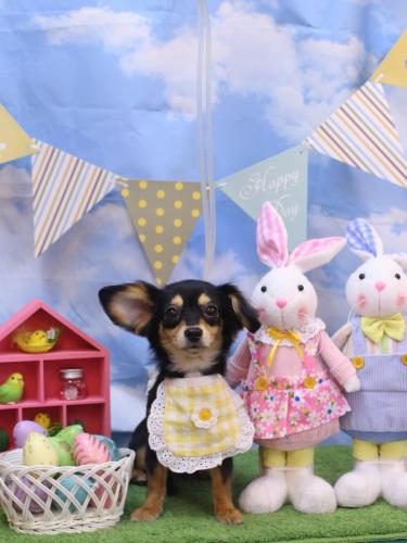 20240309叶空ちゃん